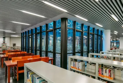 Casino Lion Wins Mobilna aplikacija